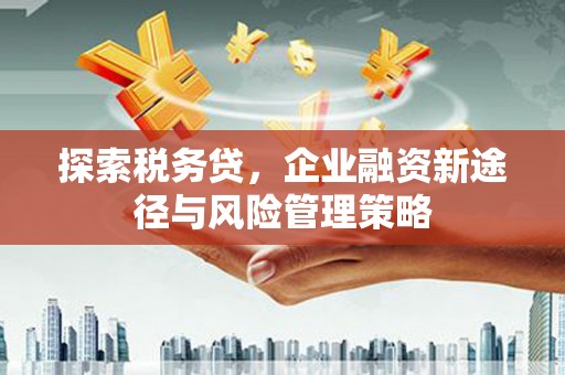 高要探索税务贷，企业融资新途径与风险管理策略