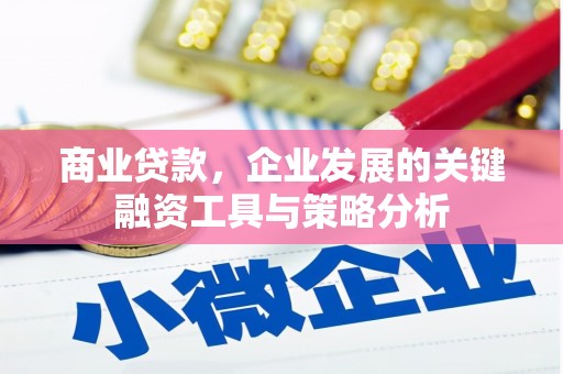 高要商业贷款，企业发展的关键融资工具与策略分析