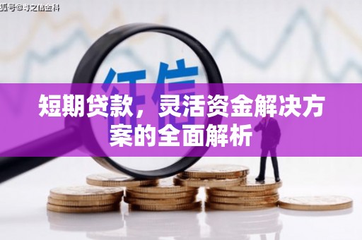 高要短期贷款，灵活资金解决方案的全面解析