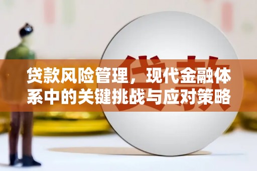 高要贷款风险管理，现代金融体系中的关键挑战与应对策略
