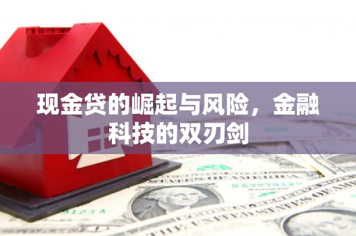 高要现金贷的崛起与风险，金融科技的双刃剑