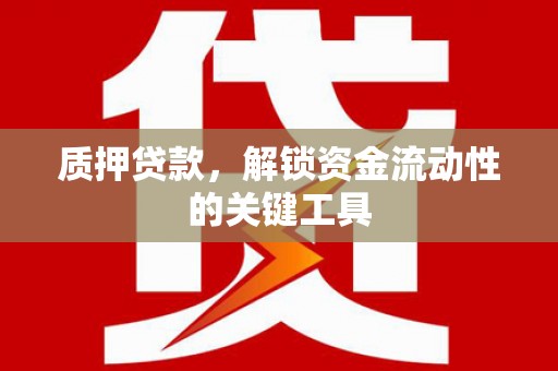 高要质押贷款，解锁资金流动性的关键工具