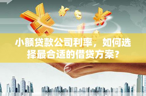 高要小额贷款公司利率，如何选择最合适的借贷方案？
