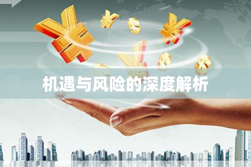高要机遇与风险的深度解析