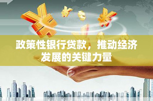 高要政策性银行贷款，推动经济发展的关键力量