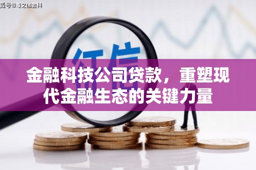 高要金融科技公司贷款，重塑现代金融生态的关键力量