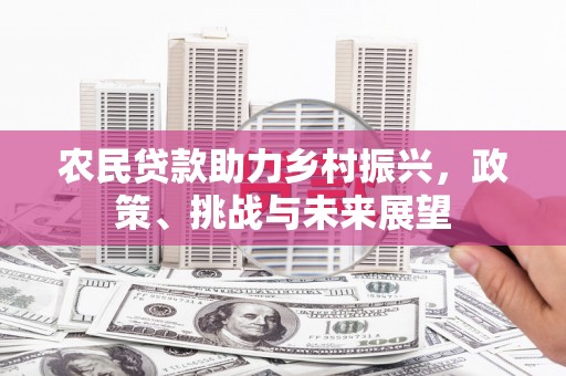 高要农民贷款助力乡村振兴，政策、挑战与未来展望