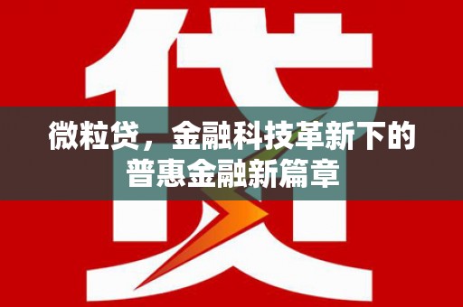 高要微粒贷，金融科技革新下的普惠金融新篇章