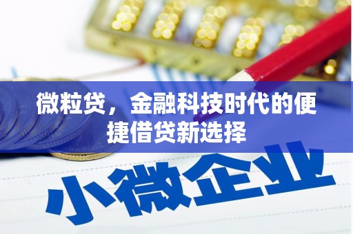 高要微粒贷，金融科技时代的便捷借贷新选择
