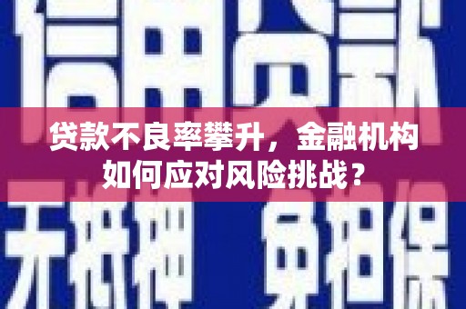 高要贷款不良率攀升，金融机构如何应对风险挑战？