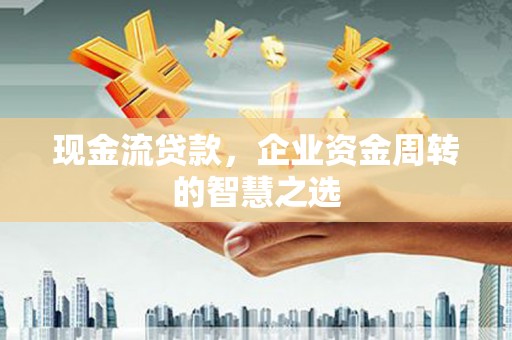 高要现金流贷款，企业资金周转的智慧之选