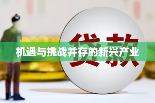 高要机遇与挑战并存的新兴产业