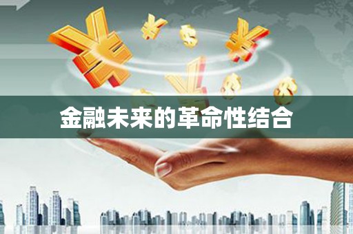 高要金融未来的革命性结合