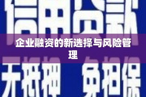 高要企业融资的新选择与风险管理