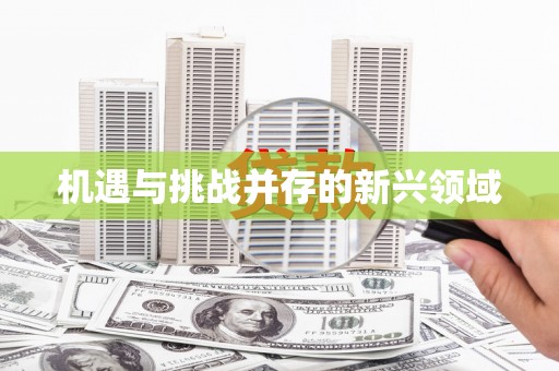 高要机遇与挑战并存的新兴领域