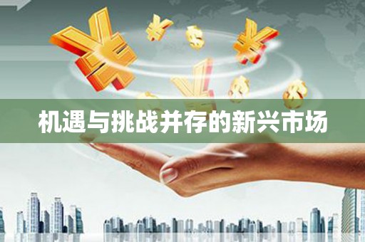 高要机遇与挑战并存的新兴市场