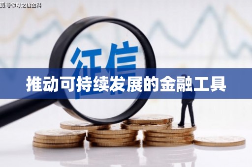 高要推动可持续发展的金融工具