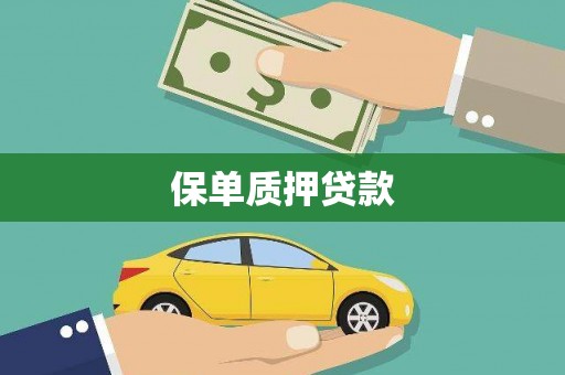 高要保单质押贷款
