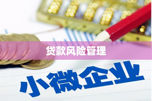 高要贷款风险管理