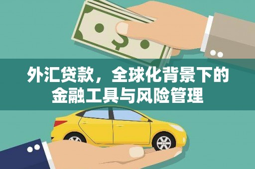 高要外汇贷款，全球化背景下的金融工具与风险管理